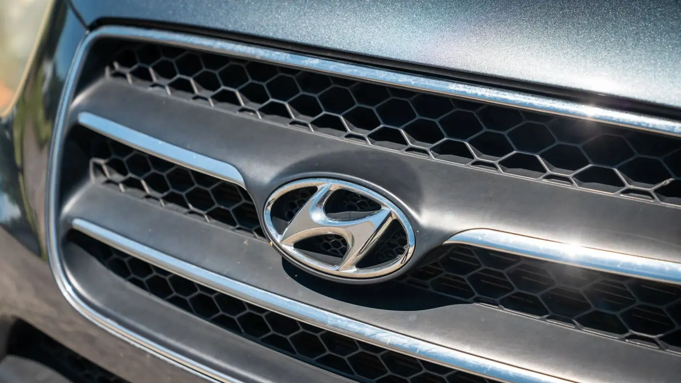 2009 Hyundai SANTA FE SE
