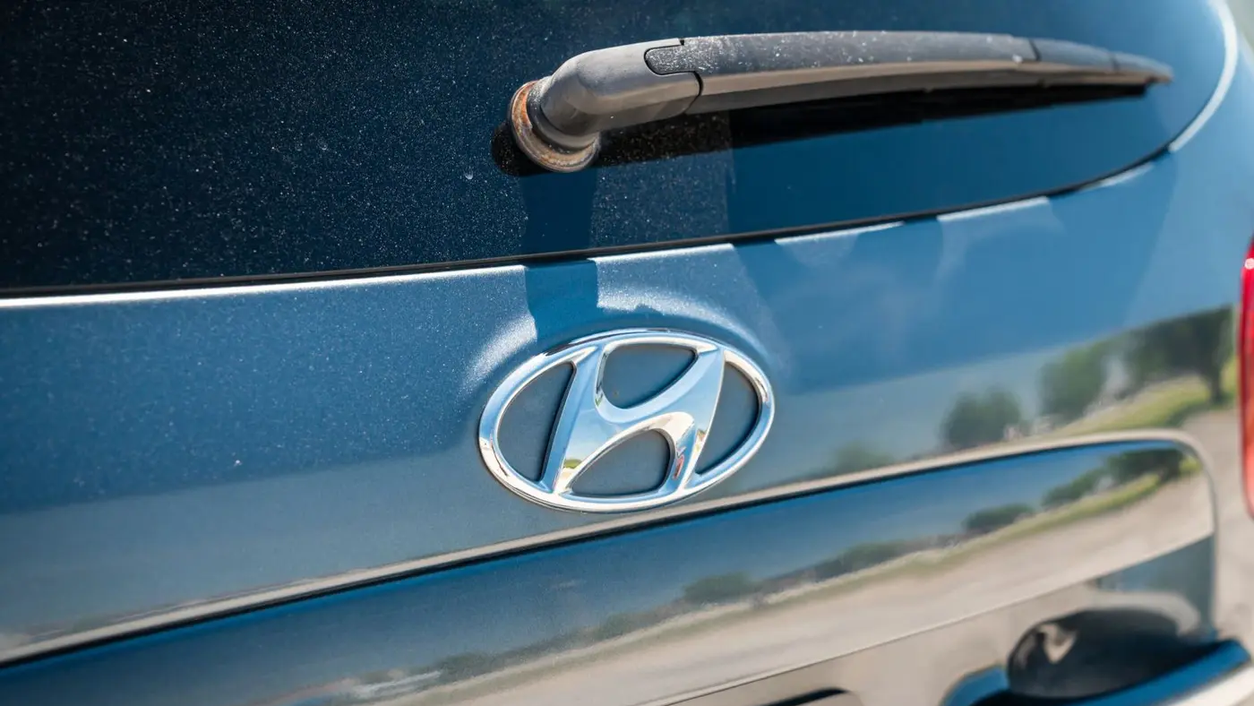 2009 Hyundai SANTA FE SE