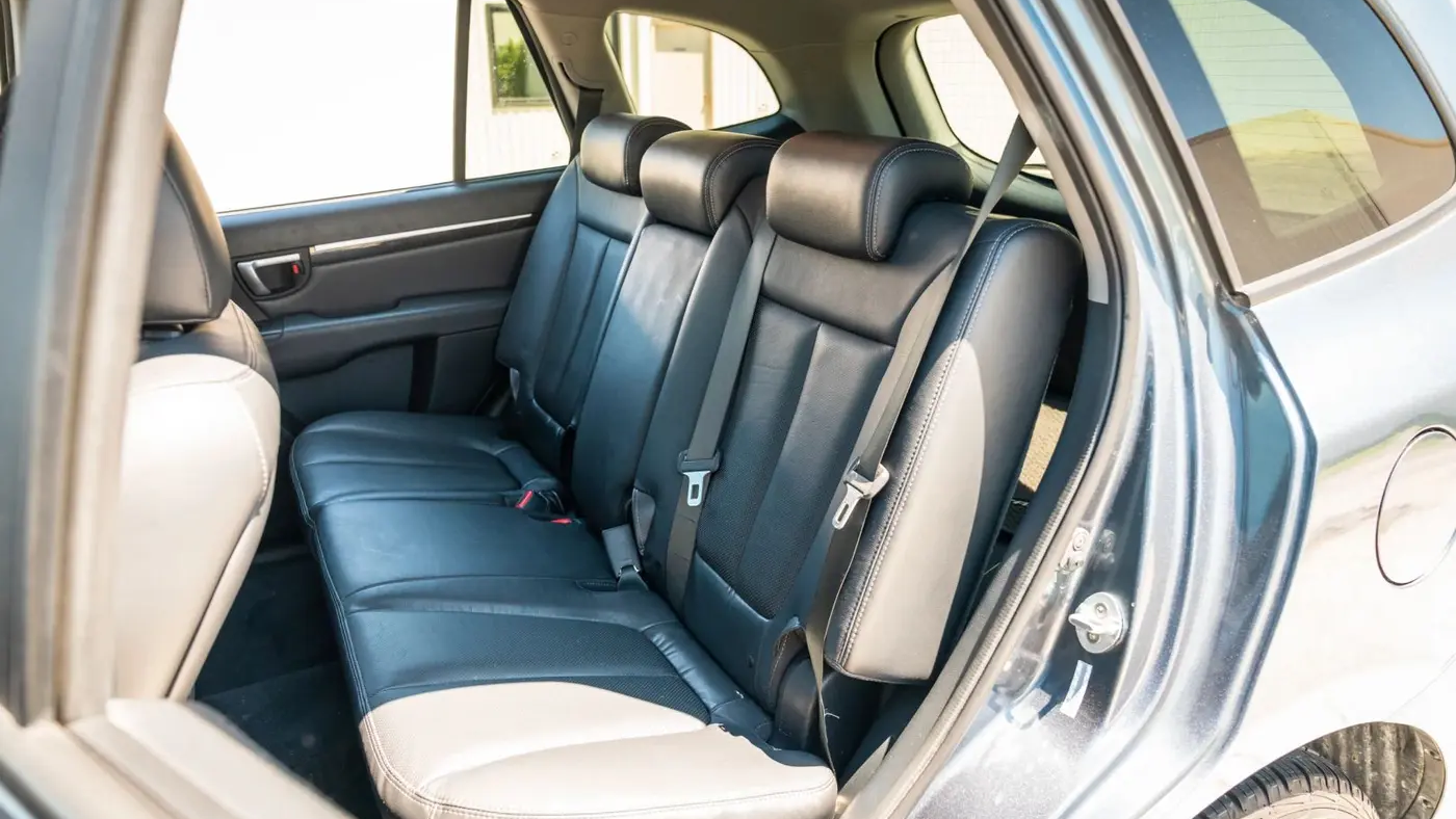 2009 Hyundai SANTA FE SE
