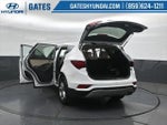 2017 SANTA FE Sport Thumbnail 51