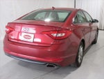 2016 Sonata Thumbnail 4