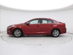 2015 Sonata Thumbnail 3
