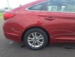 2016 Sonata Thumbnail 7