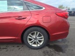 2016 Sonata Thumbnail 12
