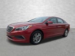 2016 Sonata Thumbnail 5
