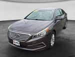 2016 Sonata Thumbnail 4