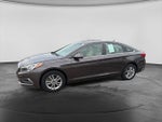 2016 Sonata Thumbnail 5