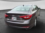 2016 Sonata Thumbnail 9