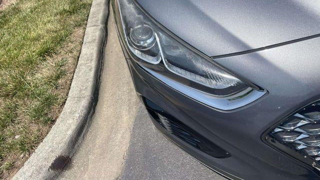 2019 Hyundai SONATA Sport