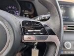 2023 Elantra Thumbnail 13
