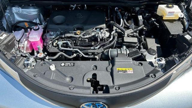 2025 Toyota Sienna LE 8-Passenger