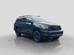 2020 Sequoia Thumbnail 8