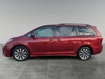 2019 Sienna Thumbnail 3