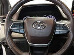 2021 Sienna Thumbnail 45