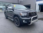 2016 Sequoia Thumbnail 1