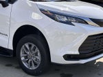 2026 Sienna Thumbnail 13