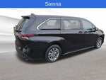 2023 Sienna Thumbnail 5