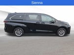 2023 Sienna Thumbnail 6