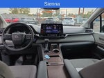 2023 Sienna Thumbnail 11