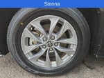 2023 Sienna Thumbnail 20