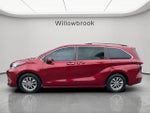 2021 Sienna Thumbnail 2