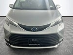 2025 Sienna Thumbnail 2