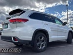 2019 Highlander Thumbnail 7