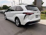 2023 Sienna Thumbnail 6