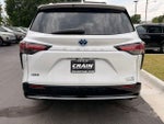 2023 Sienna Thumbnail 7