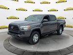 2019 Tacoma Thumbnail 11
