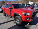 2016 Tacoma Thumbnail 4