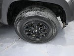 2021 Tacoma Thumbnail 21