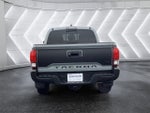 2021 Tacoma Thumbnail 10