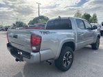 2019 Tacoma Thumbnail 5