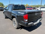 2019 Tacoma Thumbnail 5