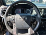 2019 Tacoma Thumbnail 20