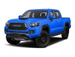 2019 Tacoma Thumbnail 1