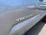 2020 Tacoma Thumbnail 22