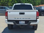 2019 Tacoma Thumbnail 6