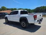 2019 Tacoma Thumbnail 7