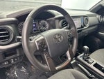 2019 Tacoma Thumbnail 13