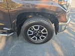 2021 Tundra Thumbnail 11