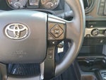 2019 Tacoma Thumbnail 16