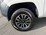 2019 Tacoma Thumbnail 14