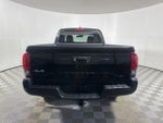 2020 Tacoma Thumbnail 6