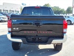 2019 Tacoma Thumbnail 20