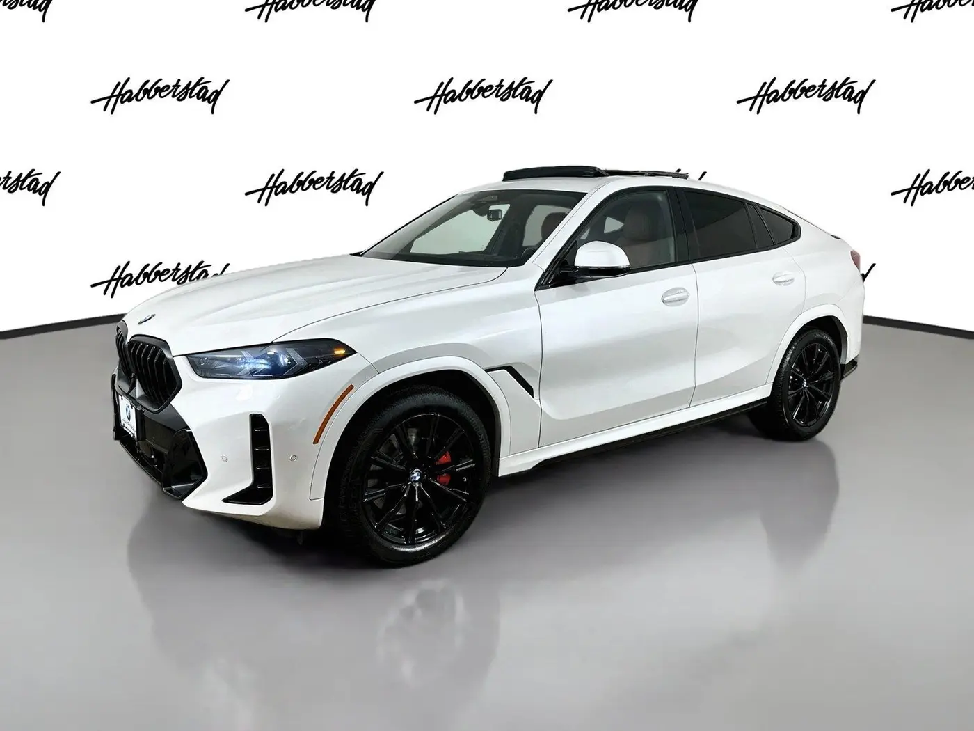2025 BMW X6