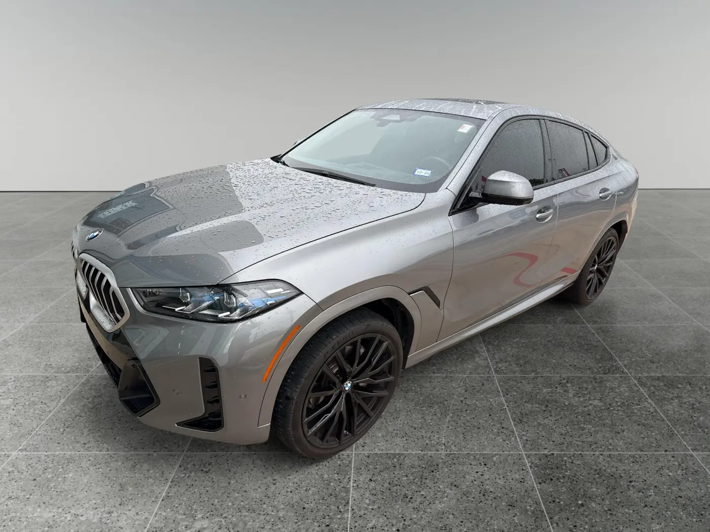 2025 BMW X6