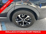 2023 Sportage Thumbnail 11