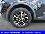 2023 Sportage Thumbnail 11